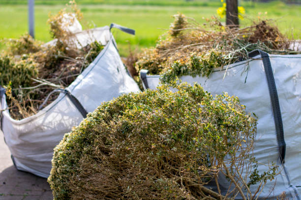 Best Same-Day Junk Removal  in Oak Forest, IL