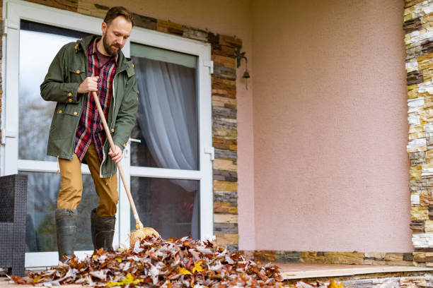 Debris Removal in Oak Forest, IL